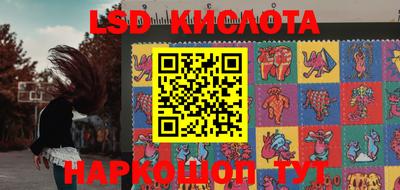 эйфоретик Гай