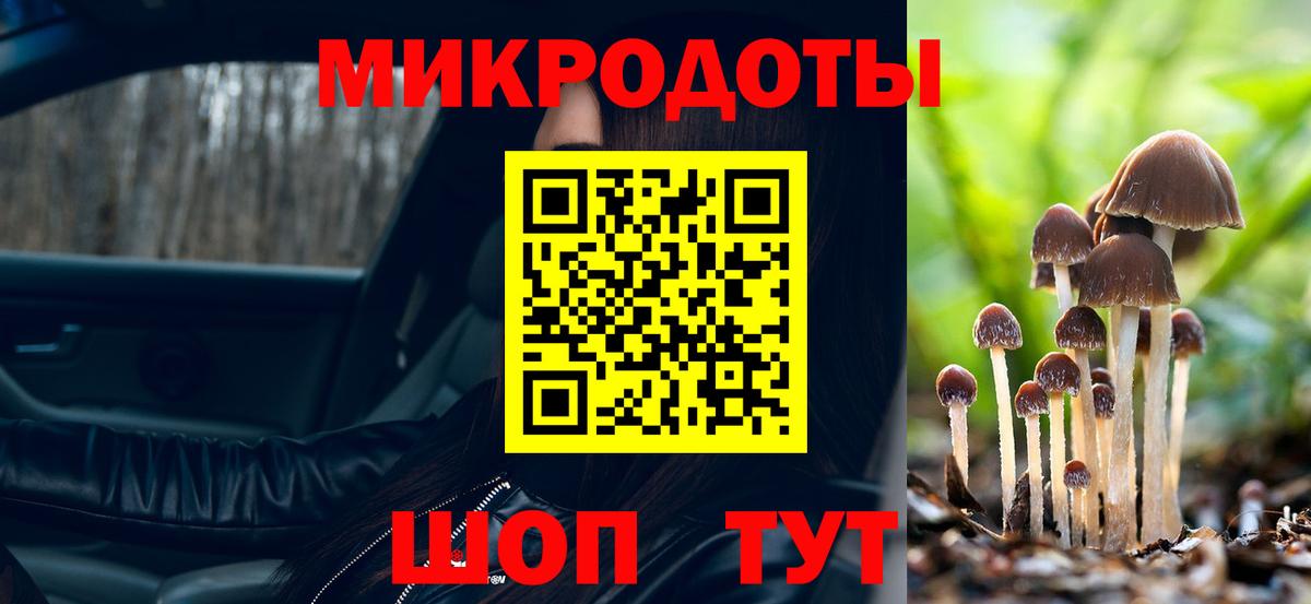 Псилоцибиновые грибы Psilocybe  Вход с VPN  Белогорск  Галлюциногенные грибы прущие грибы 